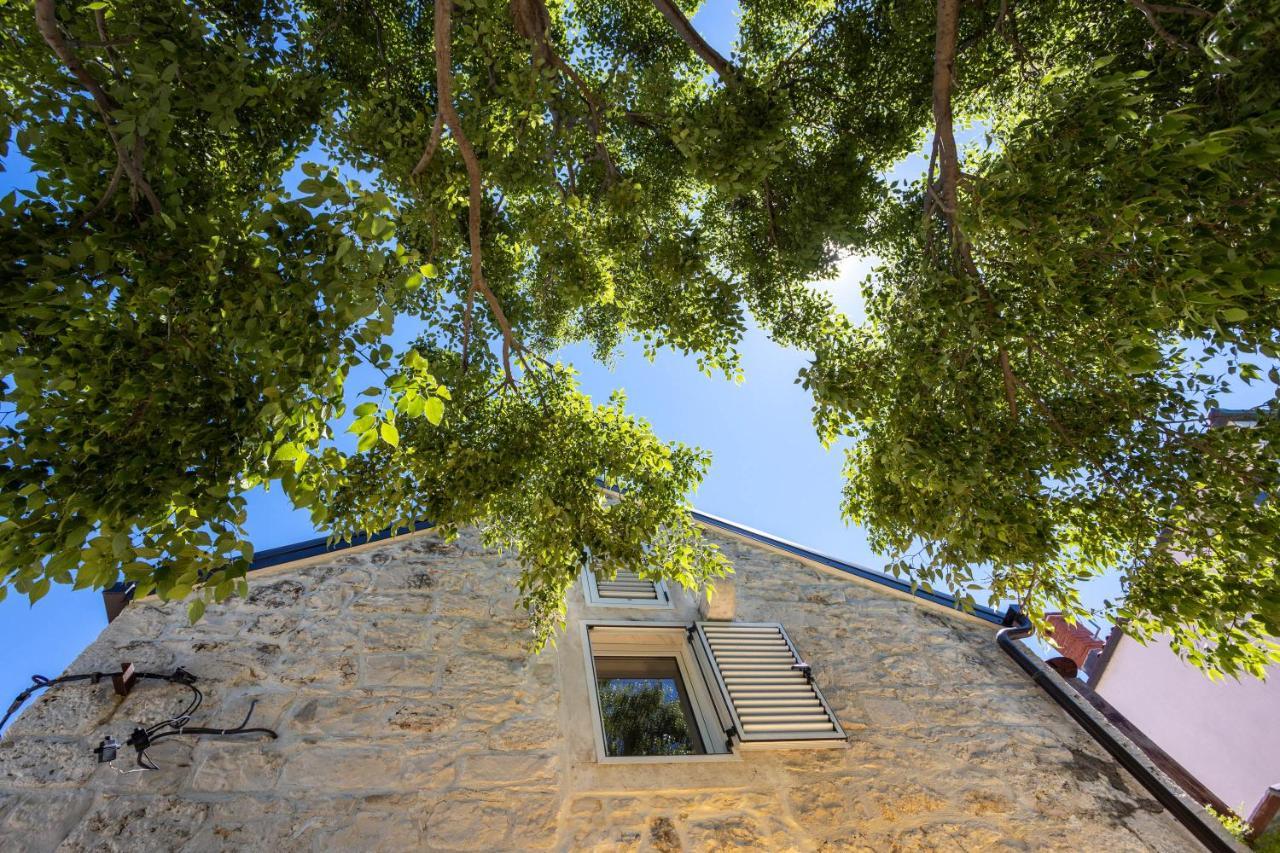 Apartments "Lory" -Baška Voda Exteriér fotografie